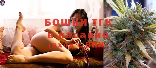 винт Липки