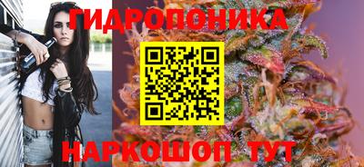 МДПВ Лесосибирск