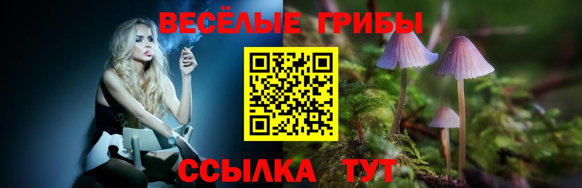 Псилоцибиновые грибы MAGIC MUSHROOMS  Псилоцибиновые грибы Magic Shrooms  Вход с VPN  Краснокамск 